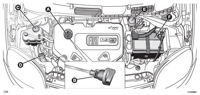 Fiat Panda. Wartung und Pflege