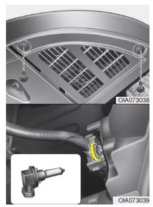 Ersetzen Glühlampe Nebelscheinwerfer